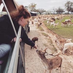 Meet your Posher, Shannon